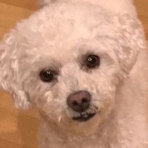 Meet your Posher, Tessa